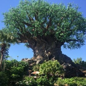 Meet your Posher, Joni